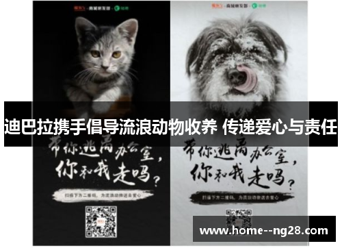 迪巴拉携手倡导流浪动物收养 传递爱心与责任